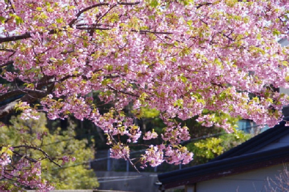 新年度が始まりました！